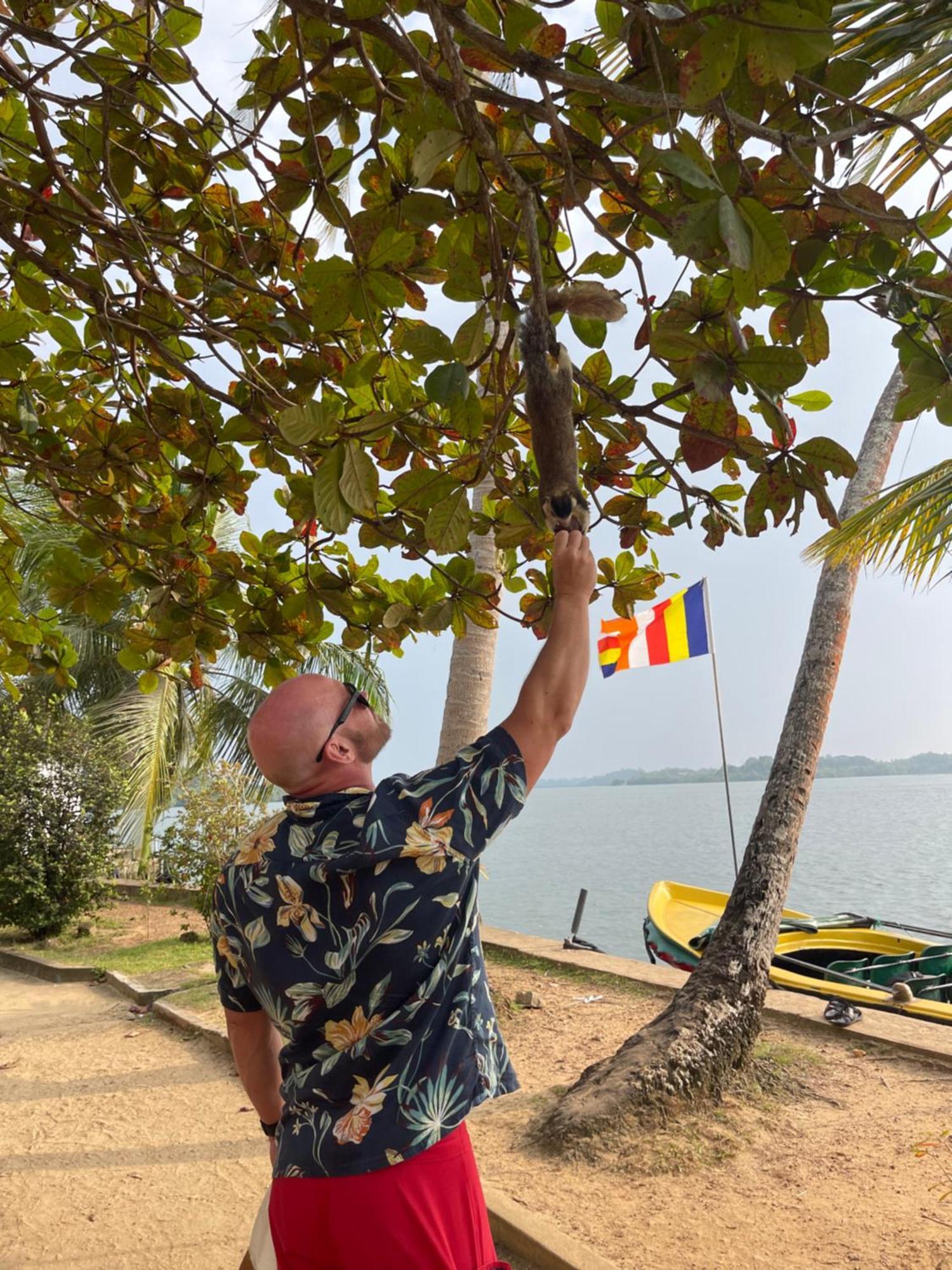 Blue Maalu Resort Ambalangoda  Zewnętrze zdjęcie