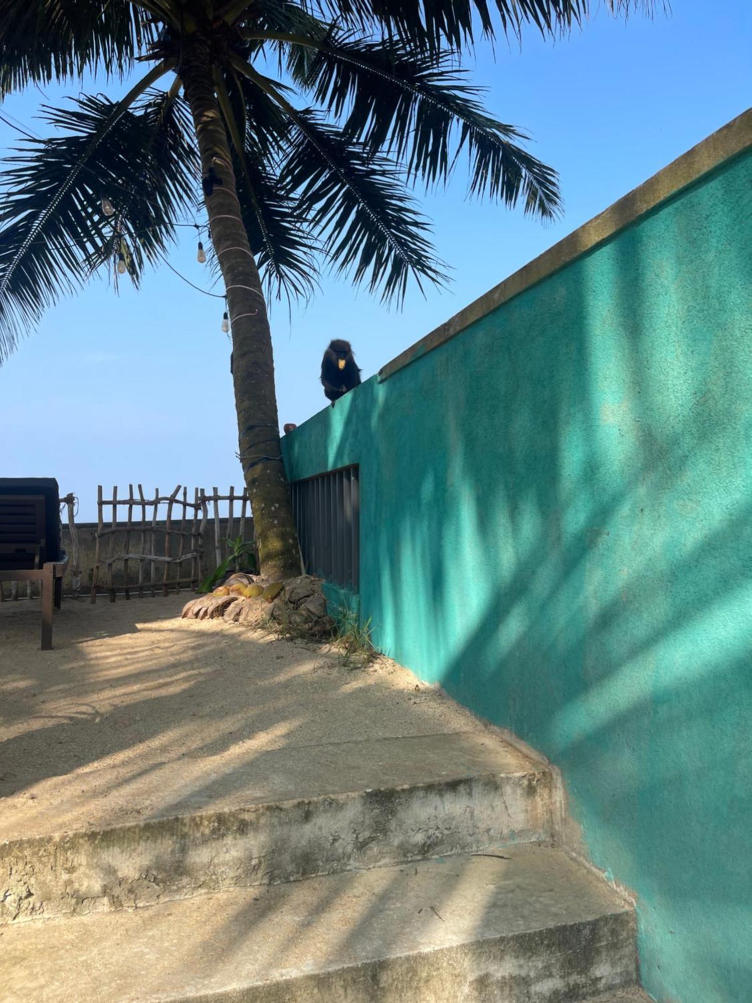 Blue Maalu Resort Ambalangoda  Zewnętrze zdjęcie